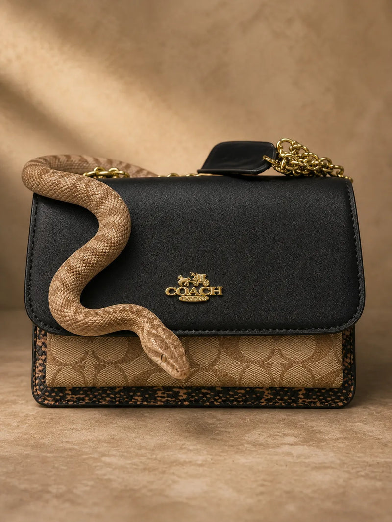 Black & Khaki Signature Flap Crossbody Bag | Snakeskin Print Trim Shoulder Purse